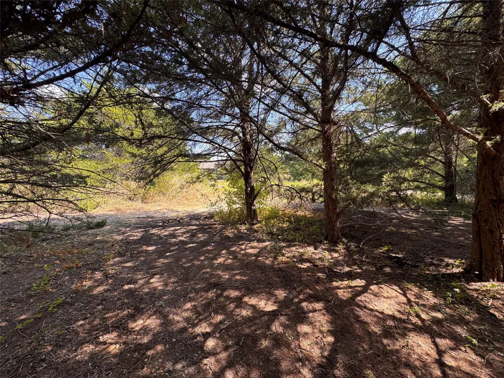 6395 SH 160 Highway Whitewright, TX 75491