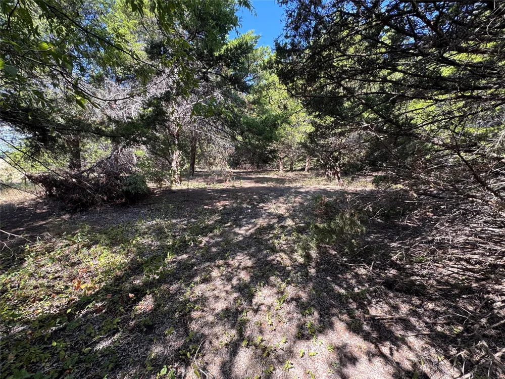 6395 SH 160 Highway Whitewright, TX 75491