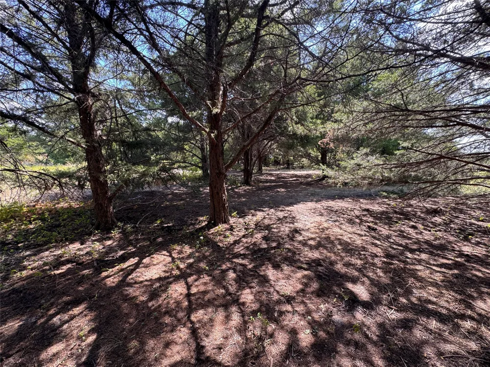 6395 SH 160 Highway Whitewright, TX 75491