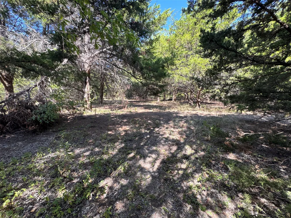 6395 SH 160 Highway Whitewright, TX 75491