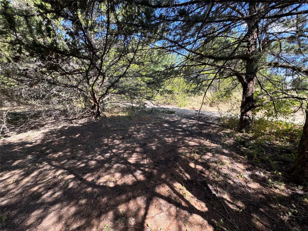 6395 SH 160 Highway Whitewright, TX 75491