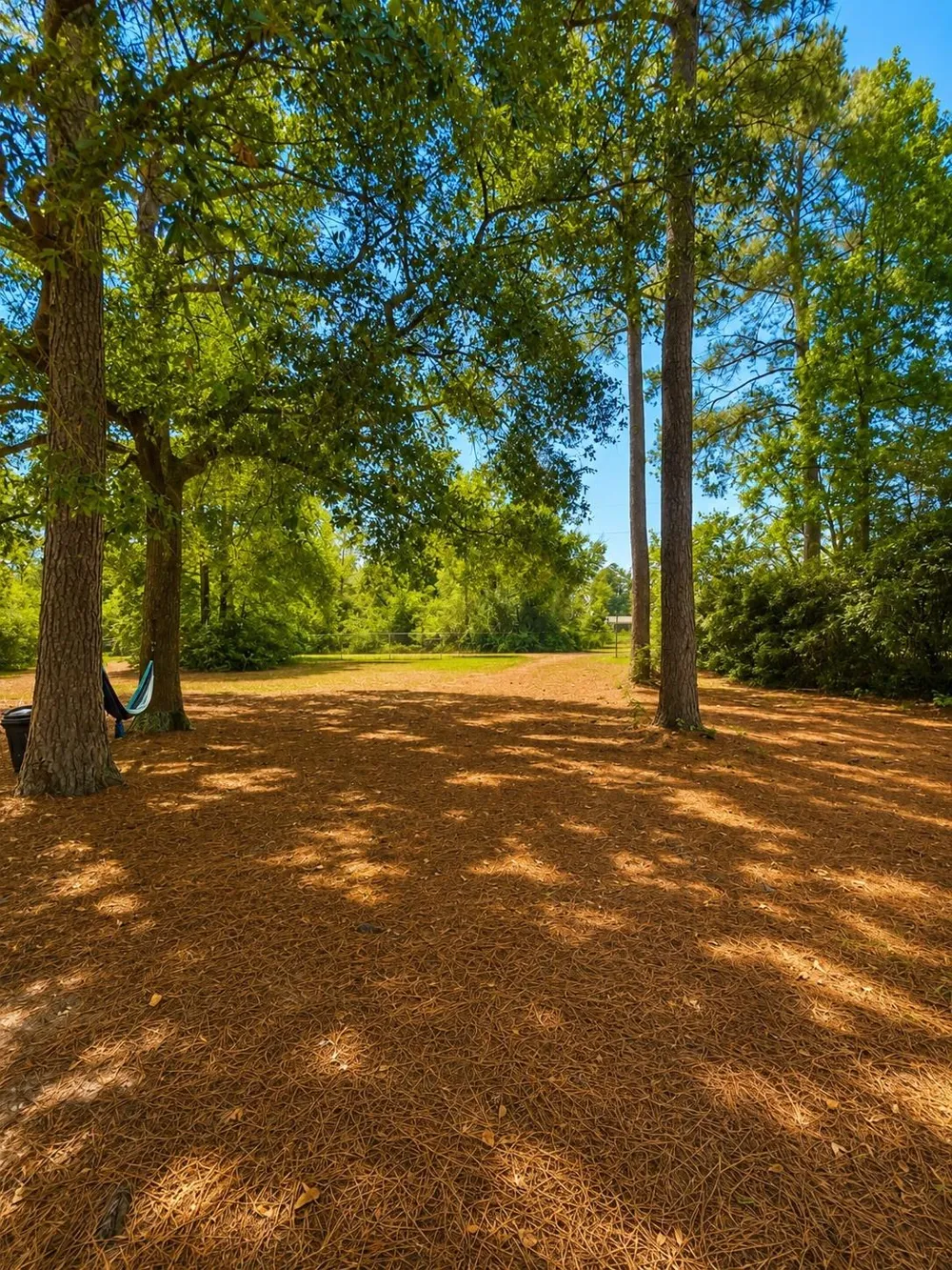 13134 Fm 1484 Road Conroe, TX 77303