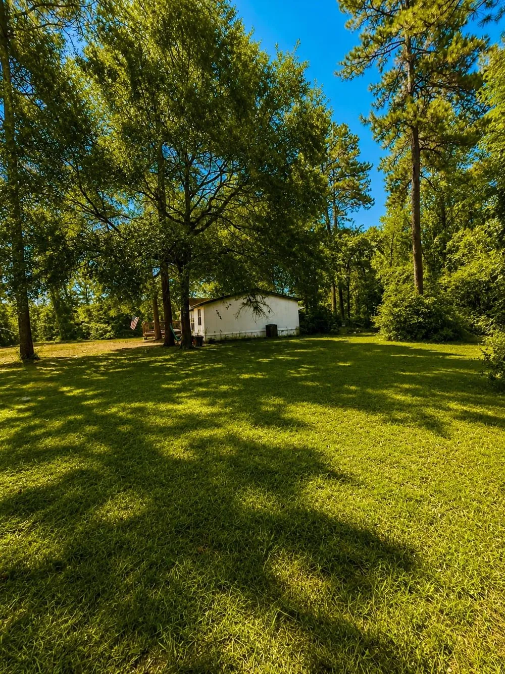 13134 Fm 1484 Road Conroe, TX 77303