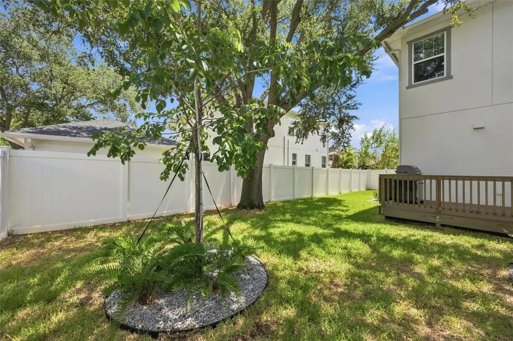 1915 W STATE STREET Tampa, FL 33606