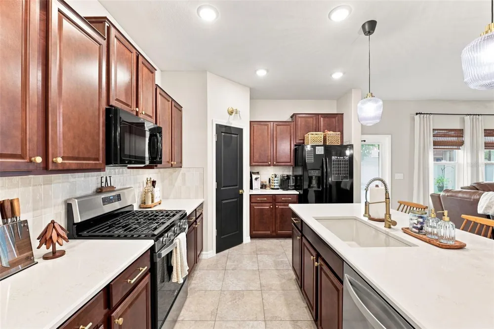 8096 SEAGARDEN LANE Land O Lakes, FL 34637