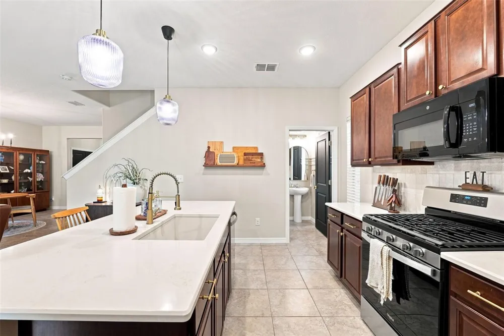 8096 SEAGARDEN LANE Land O Lakes, FL 34637