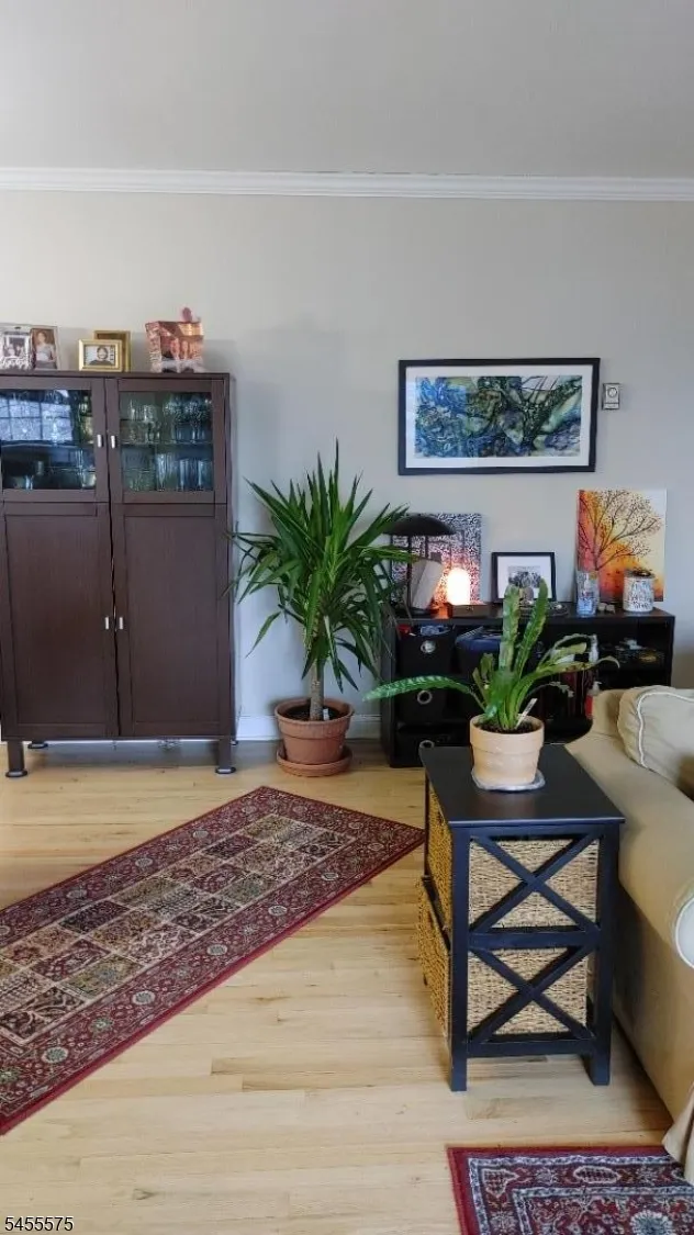 320 South Street #J Unit J Morristown Town, NJ 07960