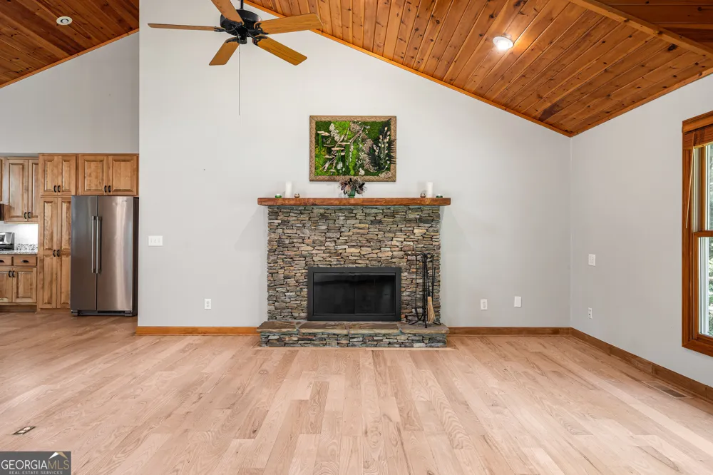 56 Napoleon LN Tiger, GA 30576