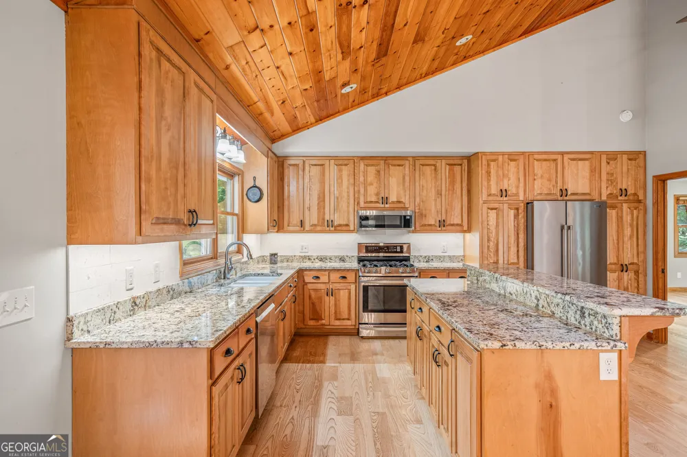 56 Napoleon LN Tiger, GA 30576