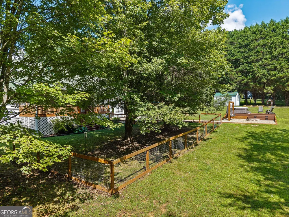 56 Napoleon LN Tiger, GA 30576