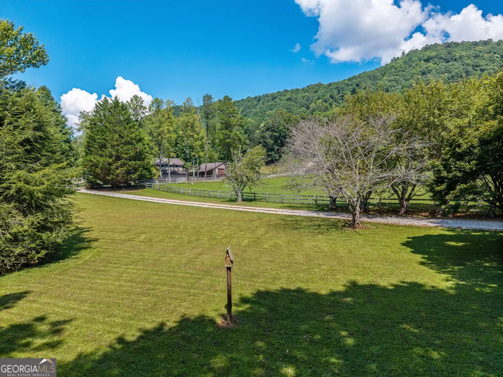 56 Napoleon LN Tiger, GA 30576