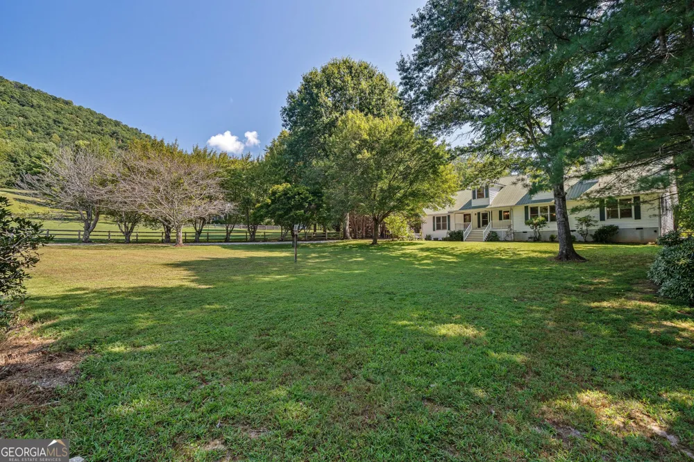 56 Napoleon LN Tiger, GA 30576