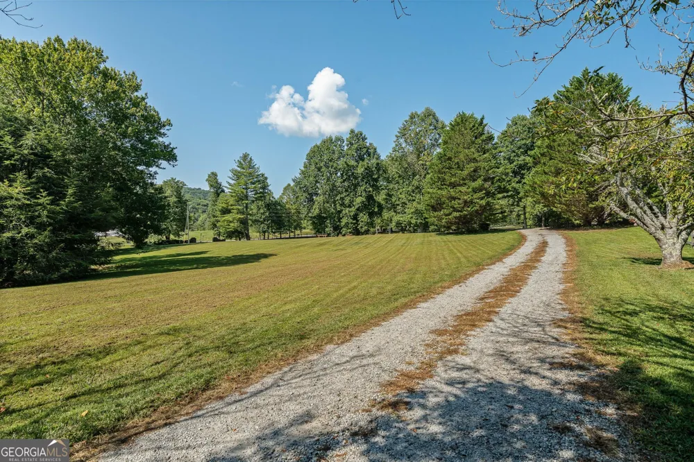 56 Napoleon LN Tiger, GA 30576