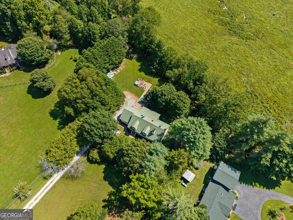 56 Napoleon LN Tiger, GA 30576