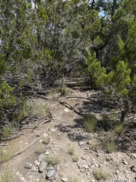 TBD 674 Rocksprings, TX 78880