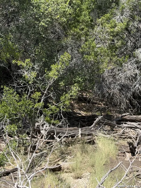 TBD 674 Rocksprings, TX 78880
