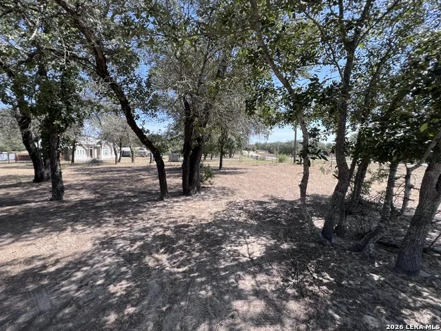 307 County Road 6875 Natalia, TX 78059