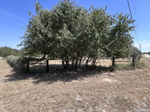 307 County Road 6875 Natalia, TX 78059