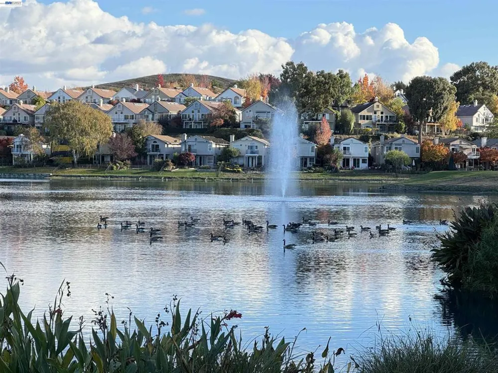 3089 Lakemont Dr San Ramon, CA 94582