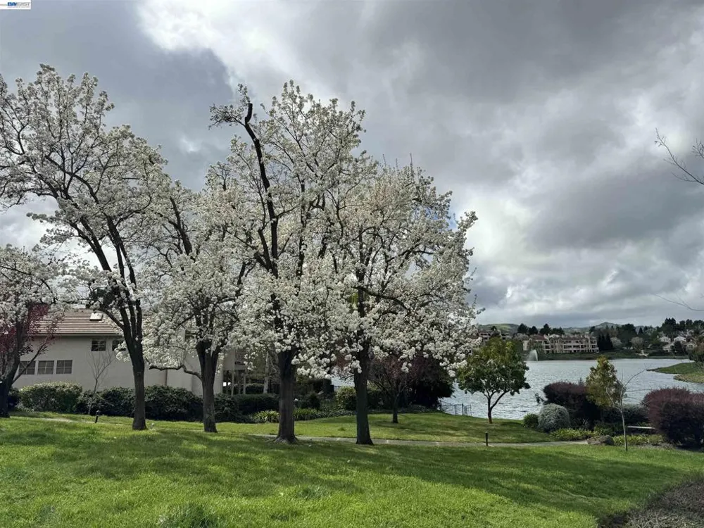 3089 Lakemont Dr San Ramon, CA 94582