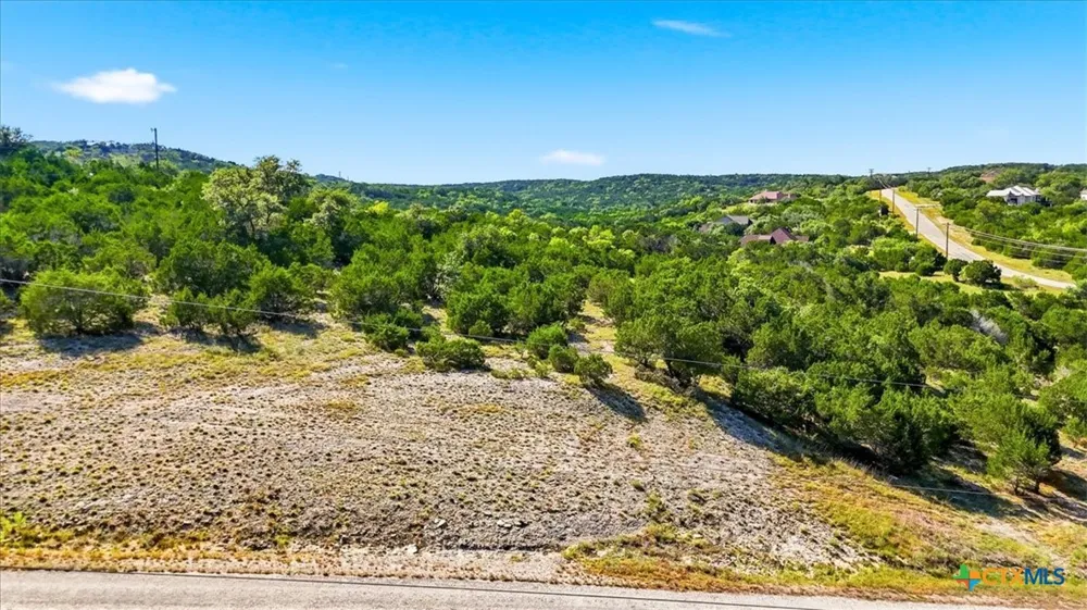 514 Canyon Rock Drive Spring Branch, TX 78070