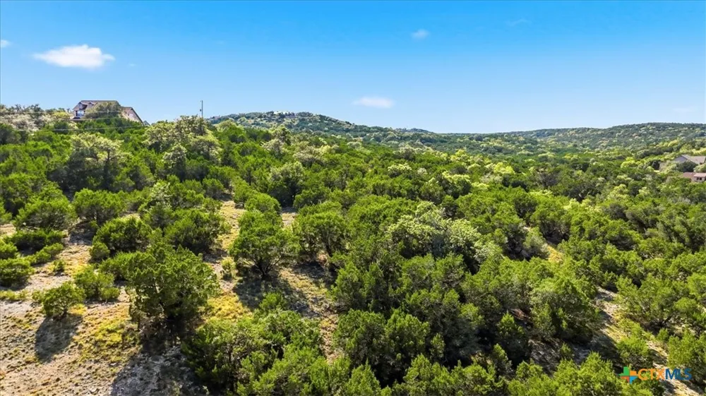 514 Canyon Rock Drive Spring Branch, TX 78070