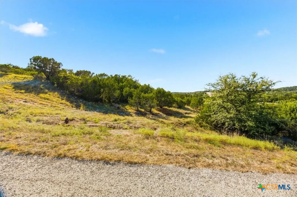 514 Canyon Rock Drive Spring Branch, TX 78070