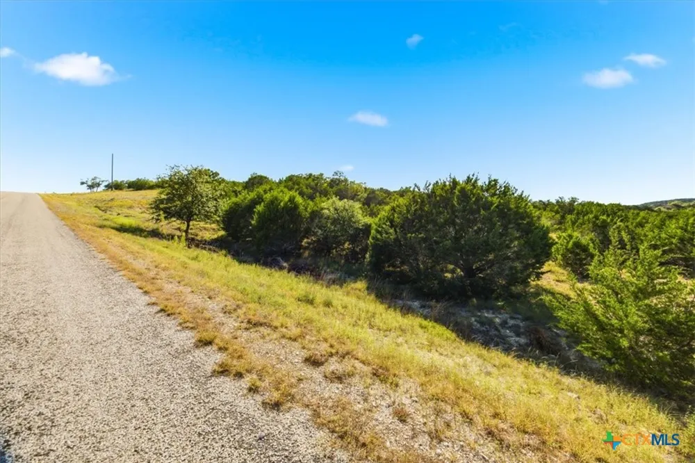 514 Canyon Rock Drive Spring Branch, TX 78070