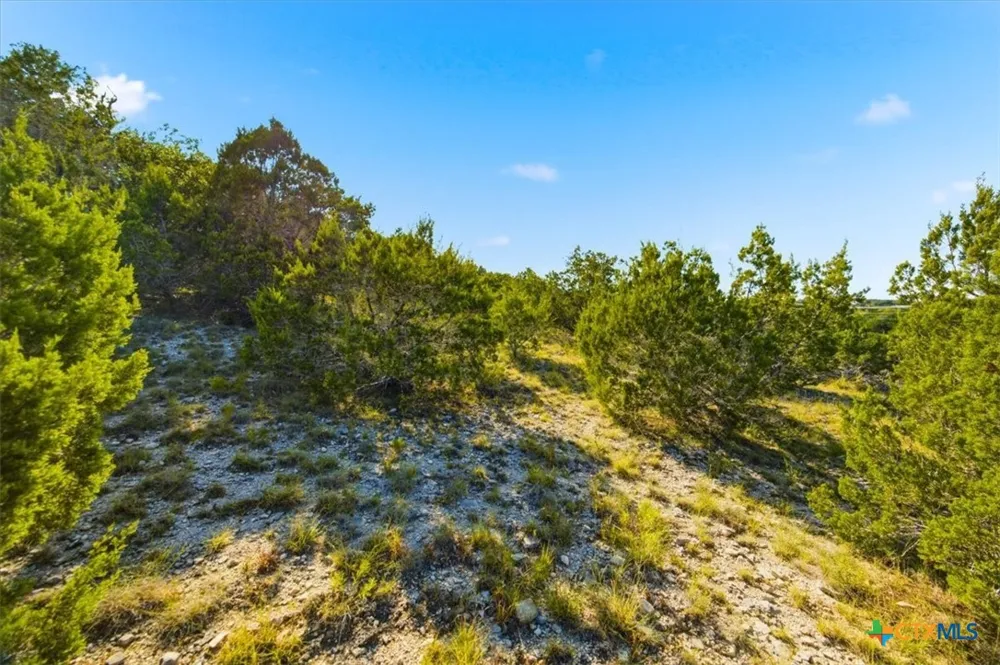 514 Canyon Rock Drive Spring Branch, TX 78070