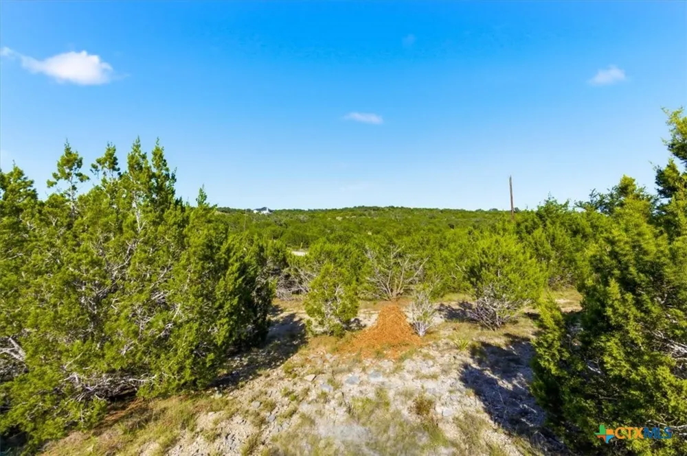 514 Canyon Rock Drive Spring Branch, TX 78070