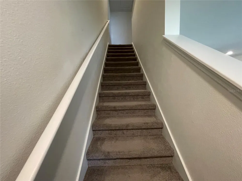 2883 PEONY PRAIRIE LANE Wesley Chapel, FL 33543