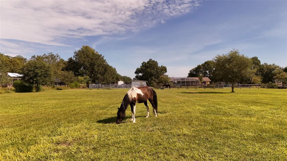 710 MYAKKA RD Sarasota, FL 34240