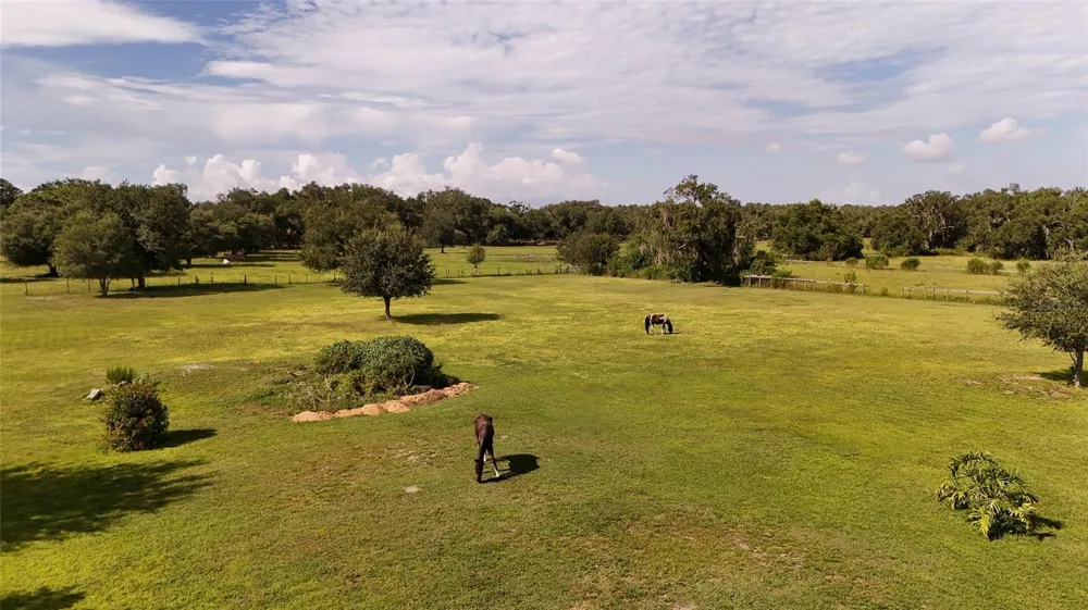 710 MYAKKA RD Sarasota, FL 34240