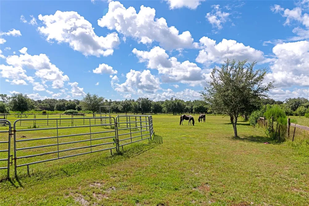 710 MYAKKA RD Sarasota, FL 34240