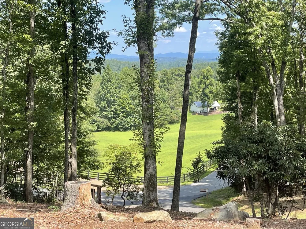 60 OASIS DR Blue Ridge, GA 30513