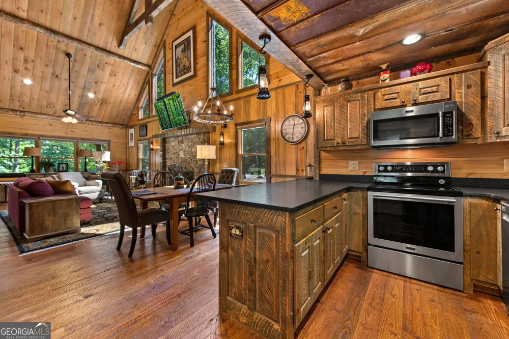 60 OASIS DR Blue Ridge, GA 30513