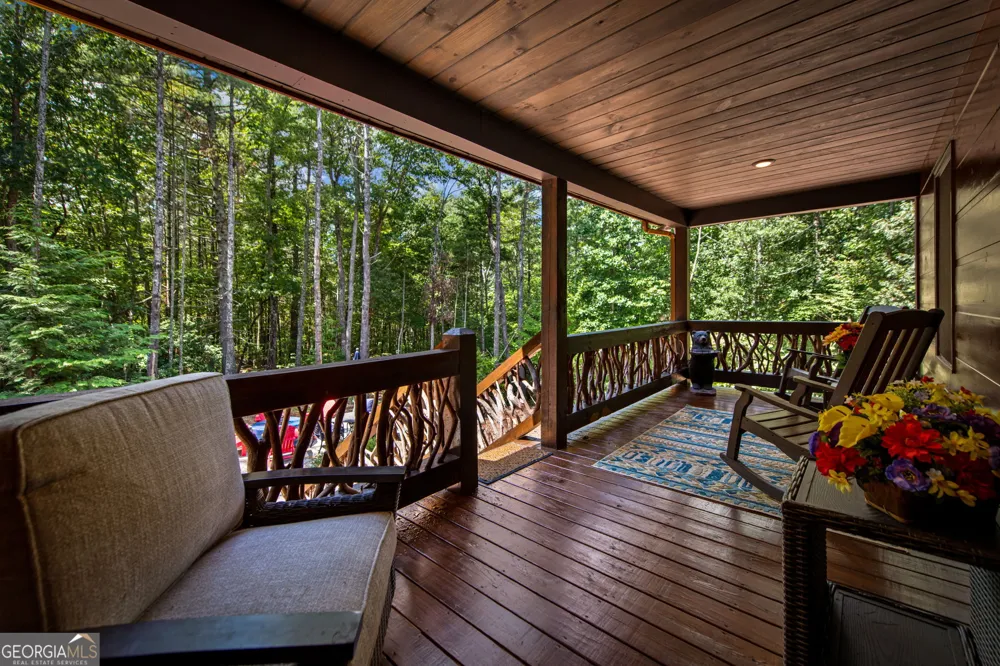 60 OASIS DR Blue Ridge, GA 30513