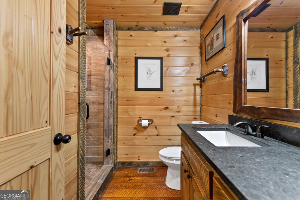 60 OASIS DR Blue Ridge, GA 30513