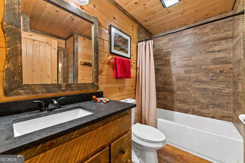 60 OASIS DR Blue Ridge, GA 30513