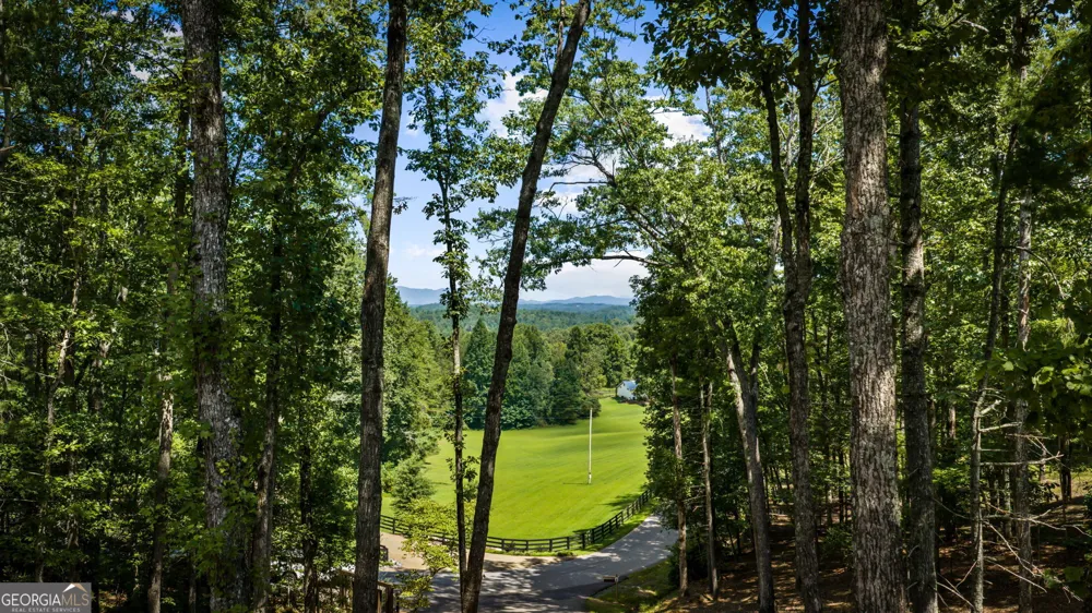 60 OASIS DR Blue Ridge, GA 30513