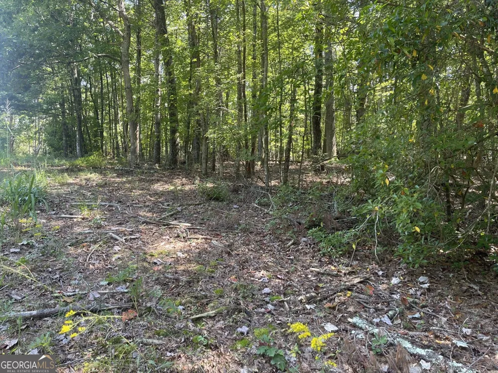 60 OASIS DR Blue Ridge, GA 30513