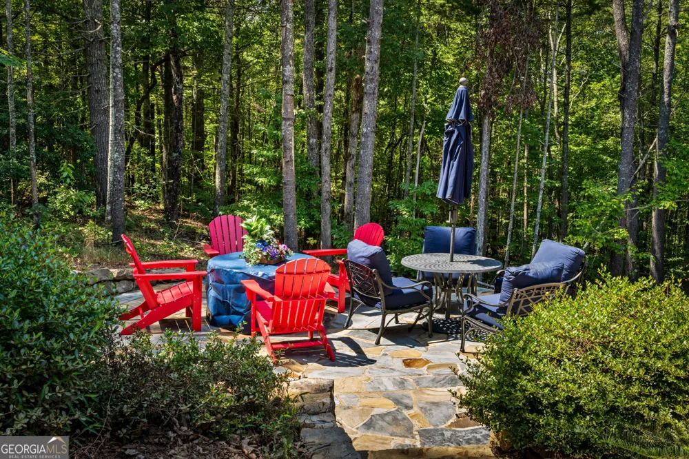 60 OASIS DR Blue Ridge, GA 30513