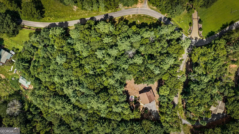 60 OASIS DR Blue Ridge, GA 30513