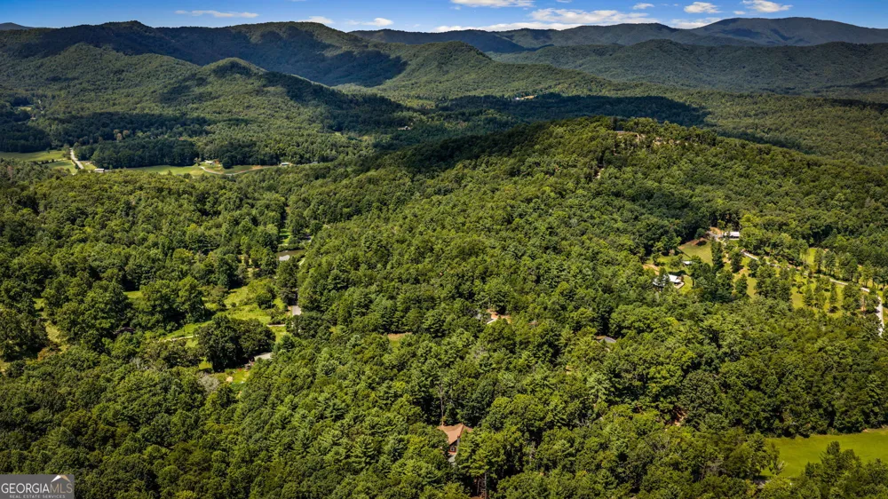 60 OASIS DR Blue Ridge, GA 30513