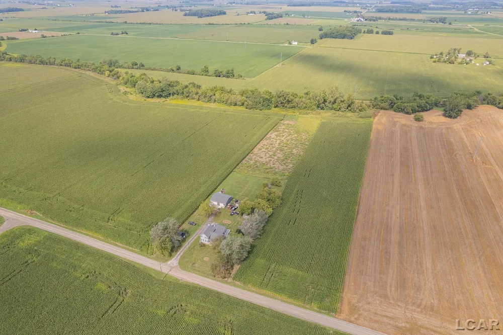 19920 Libstaff Road Dundee Township, MI 48131