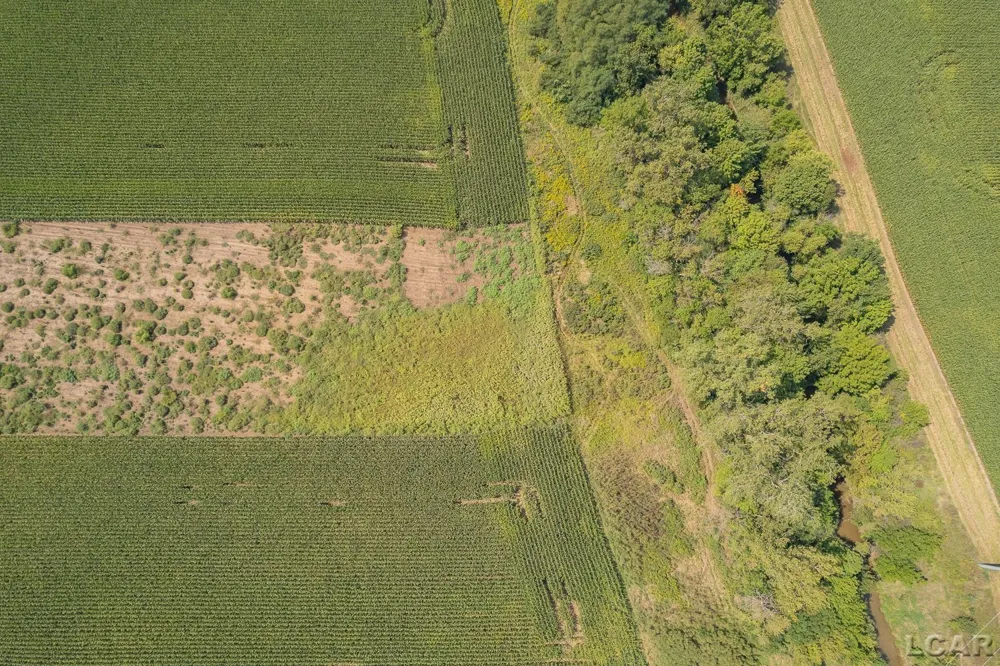 19920 Libstaff Road Dundee Township, MI 48131