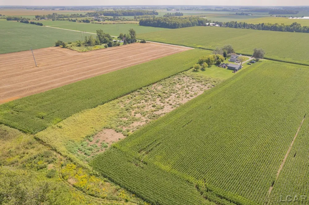 19920 Libstaff Road Dundee Township, MI 48131