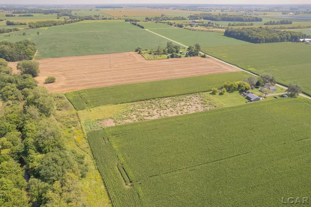 19920 Libstaff Road Dundee Township, MI 48131