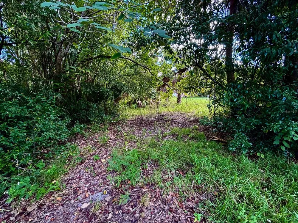 404 GROVE STREET Melrose, FL 32666