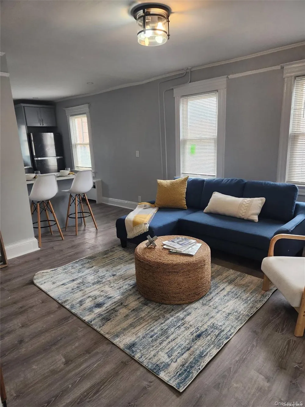156 Cleveland Avenue #B Mineola, NY 11501